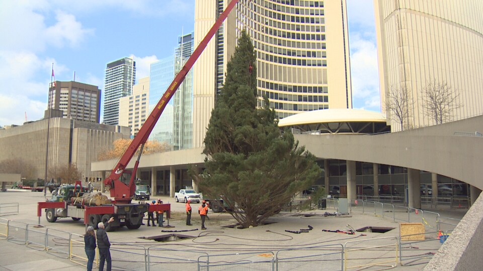 Le sapin de Noël dressé sur la place Nathan Phillips, devant l'hôtel de ville de Toronto.