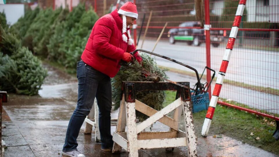 Un homme coupe le tronc d'un arbre de Noël avec une scie.