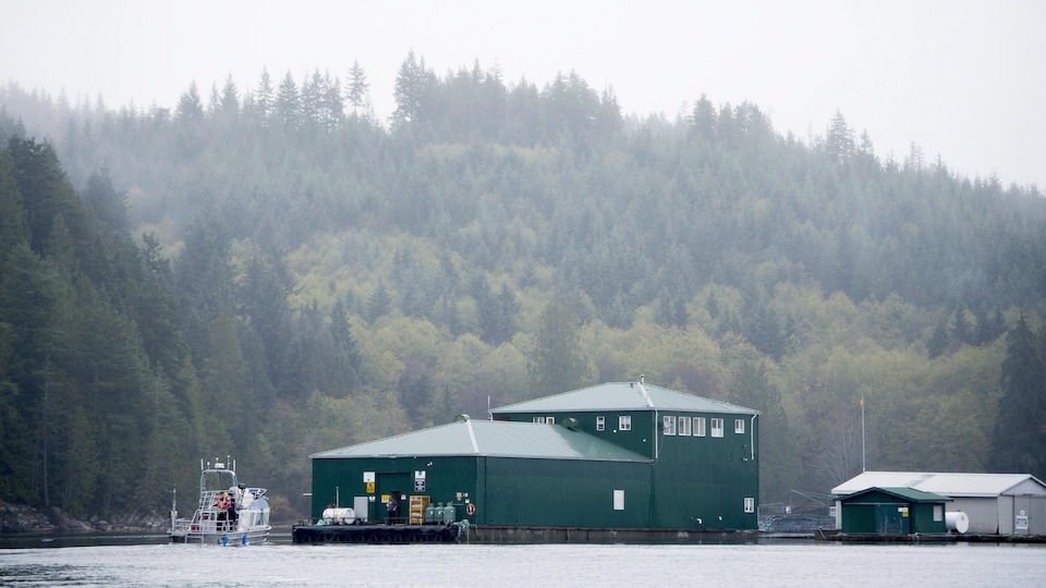 La ferme de saumon Okisollo, près de Campbell River, sur l'île de Vancouver.