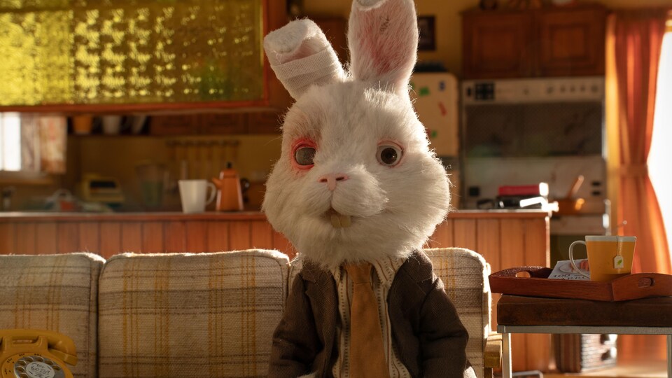 Un lapin blanc est habillé et assis sur un sofa.