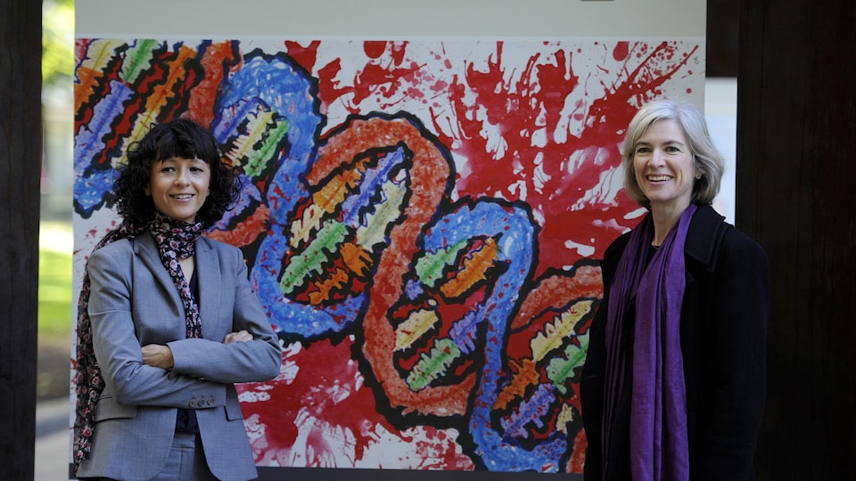 Emmanuelle Charpentier et Jennifer Doudna devant une représentation de l'ADN.