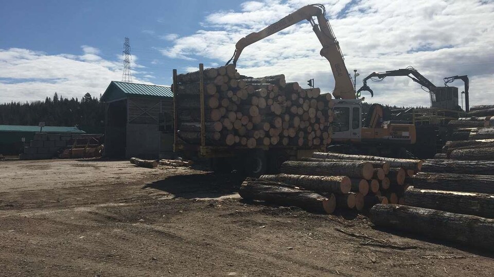 7 M investis à Scierie PetitSaguenay RadioCanada.ca