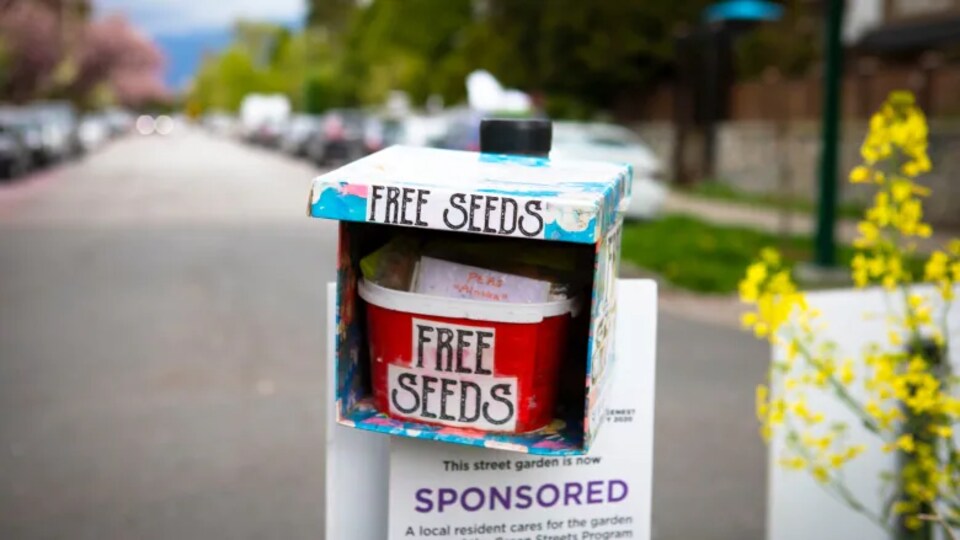 Une boîte avec l'inscription free seeds.