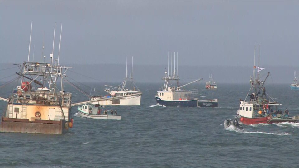 Plusieurs bateaux de pêche partent vers le large.