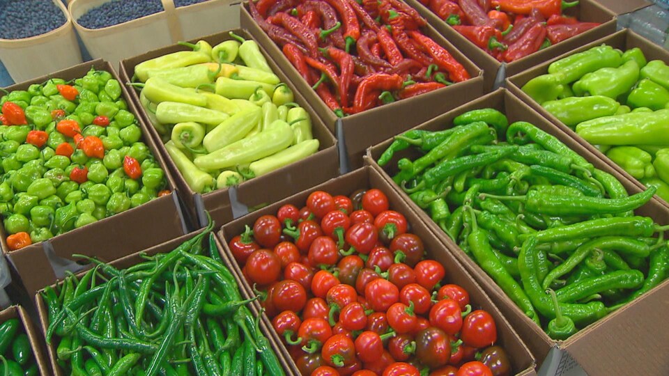 Des boîtes de différents légumes dans un étalage de marché.