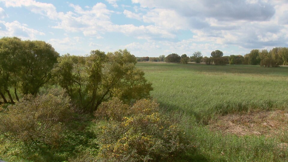 Une ancienne terre agricole en friche dans un parc national.
