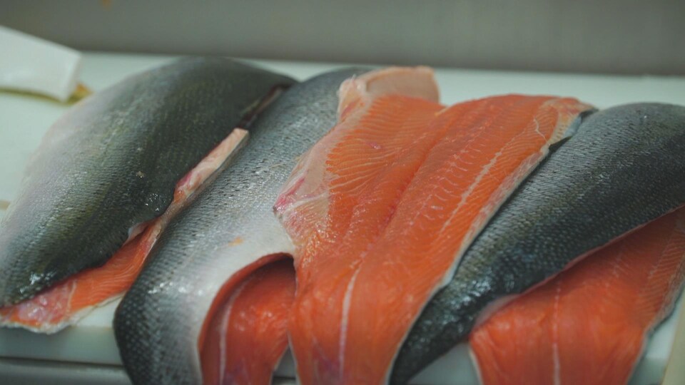Des filets de saumons frais sur une table de travail dans une usine de transformation.