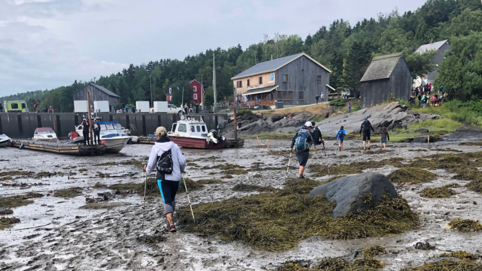 Un Sentier de la bouette qui traverse le temps, entre L'IsleVerte et l
