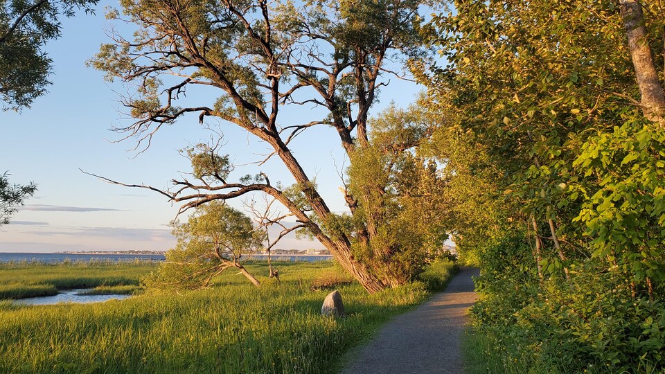 The coastal path in Rimouski, at sunset.