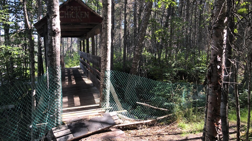 Un sentier passe sous un pont couvert au milieu du bois. 