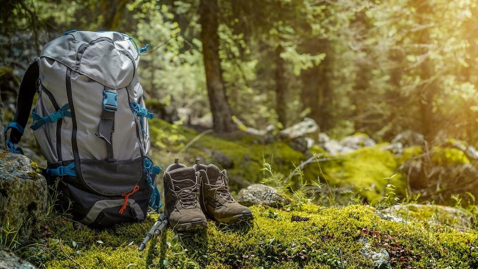 Des bottines, des bâtons et un sac à dos de randonneur dans une clairière en pleine forêt.