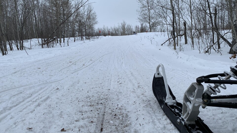 Des feuilles et des banches se trouvent à travers les sentiers près du ski d'une motoneige.