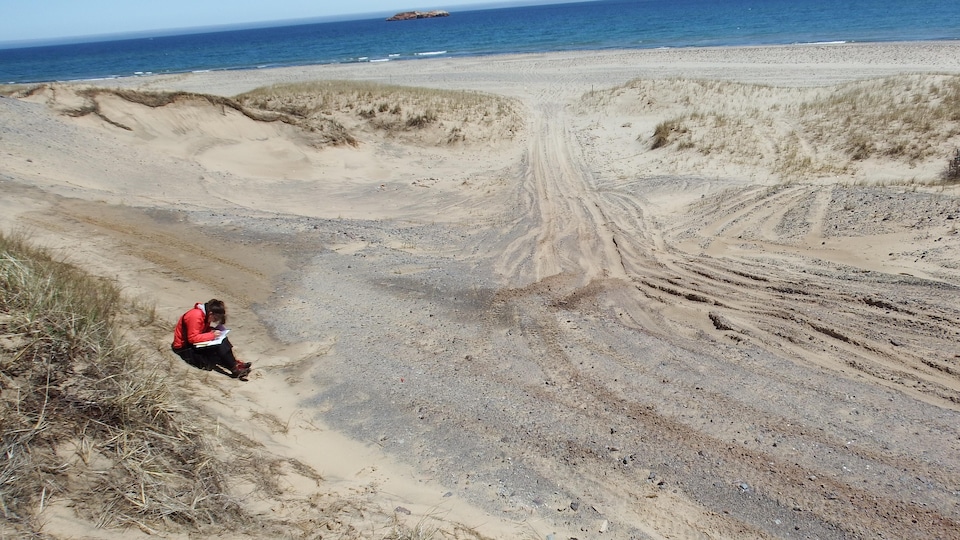 Traces de VTT sur les dunes de sable.