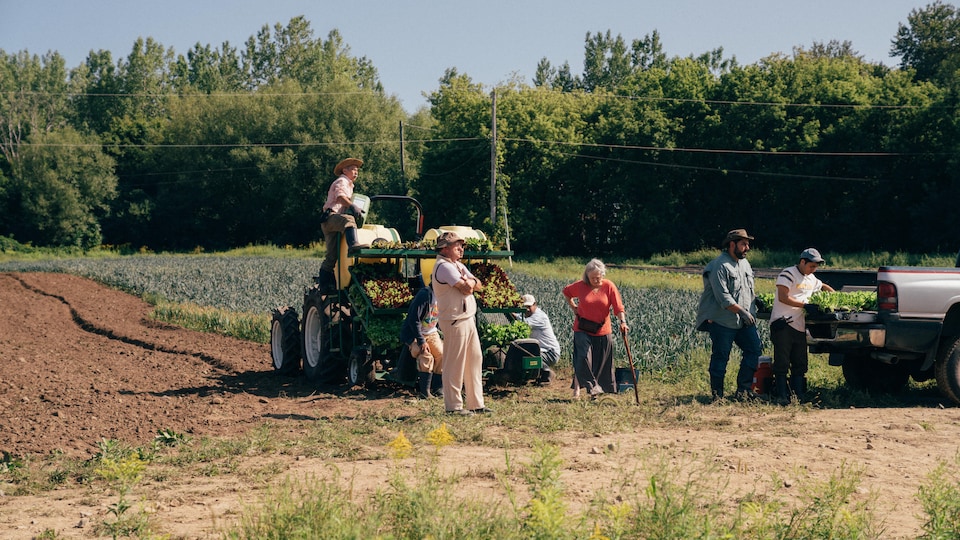 Des gens s'affèrent autour d'un tracteur dans un champ agricole.