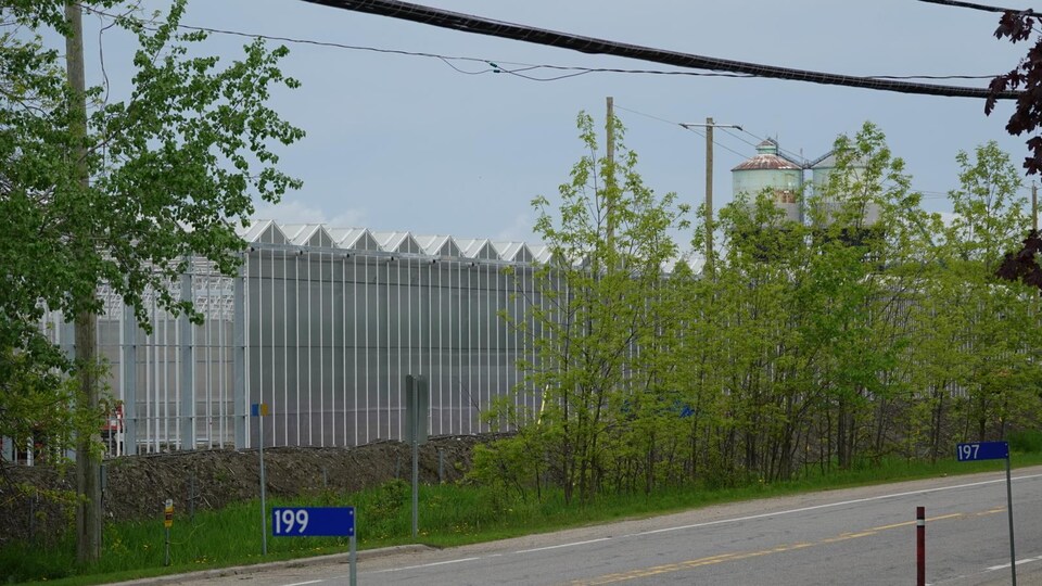 Des serres hydroponiques en construction près d'une rue. 