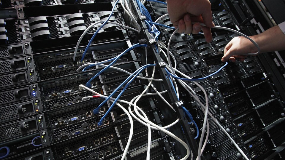 Des cables branchés à des serveurs informatiques.