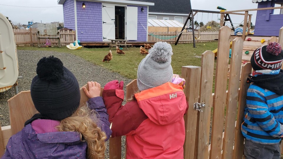Des enfants de dos regardent des poules derrière une clôture.