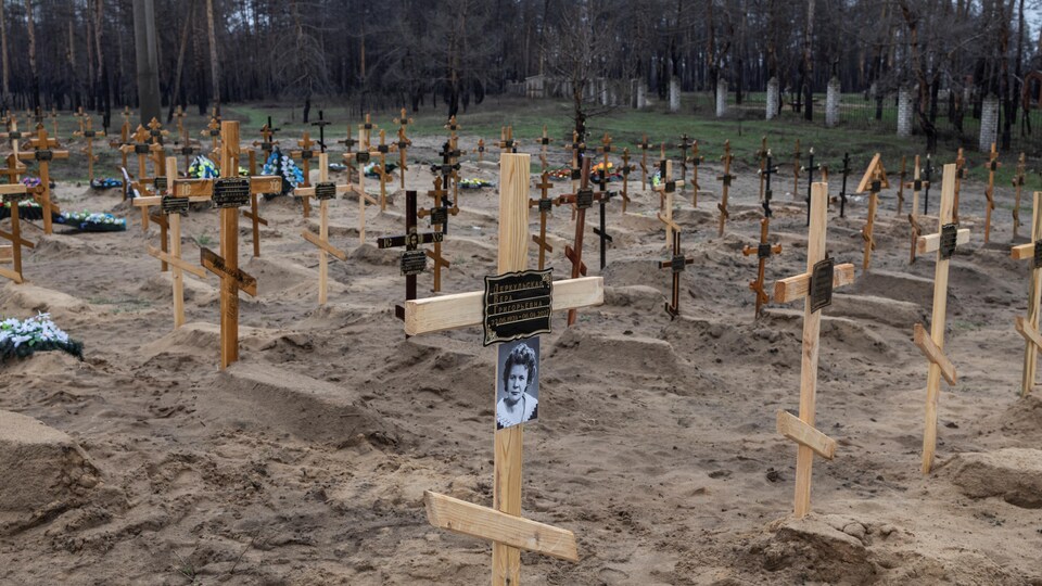 Dozens of wooden crosses for new graves. 