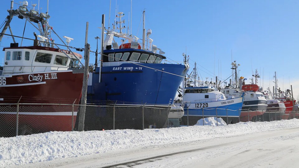 Des bateaux de pêche remisés sur la terre ferme pour l'hiver.