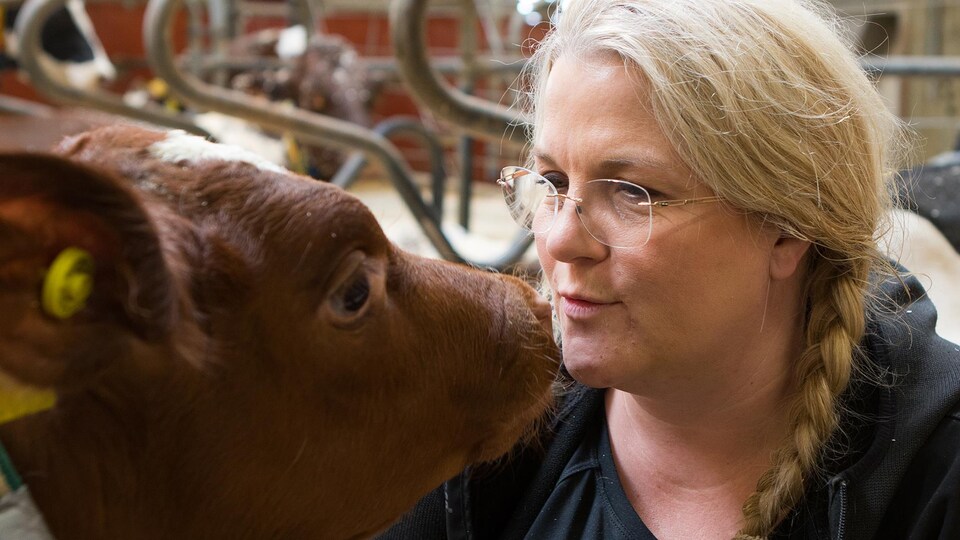 Sigrid Agenäs face à une vache.