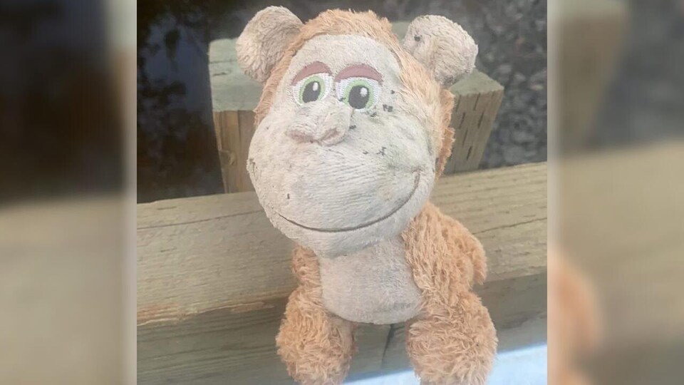 Une peluche de singe couvert de poussière et attaché à une structure de bois.