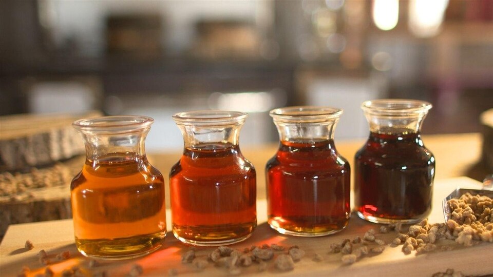 Quatre petites bouteilles de sirop d'érable, de la plus claire à la plus foncée.