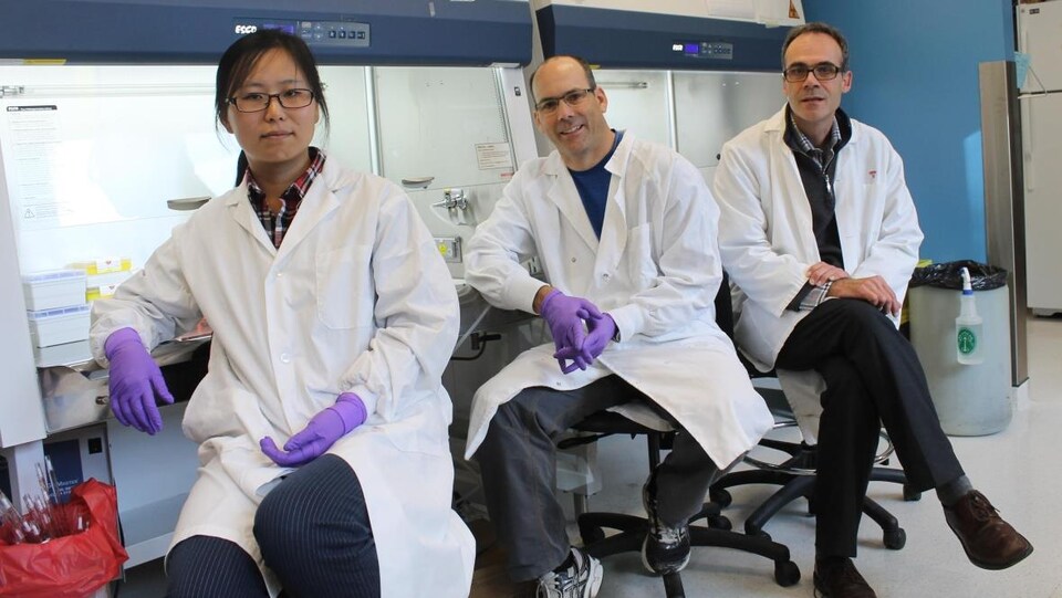 Trois chercheurs sont assis devant des appareils de laboratoire.