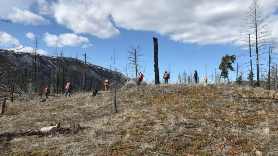 Des gens en rang sur une colline dénudée.