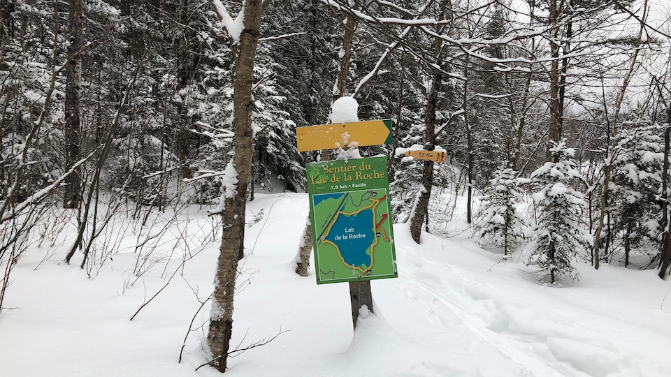 Une pancarte d'un sentier dans la neige en forêt.