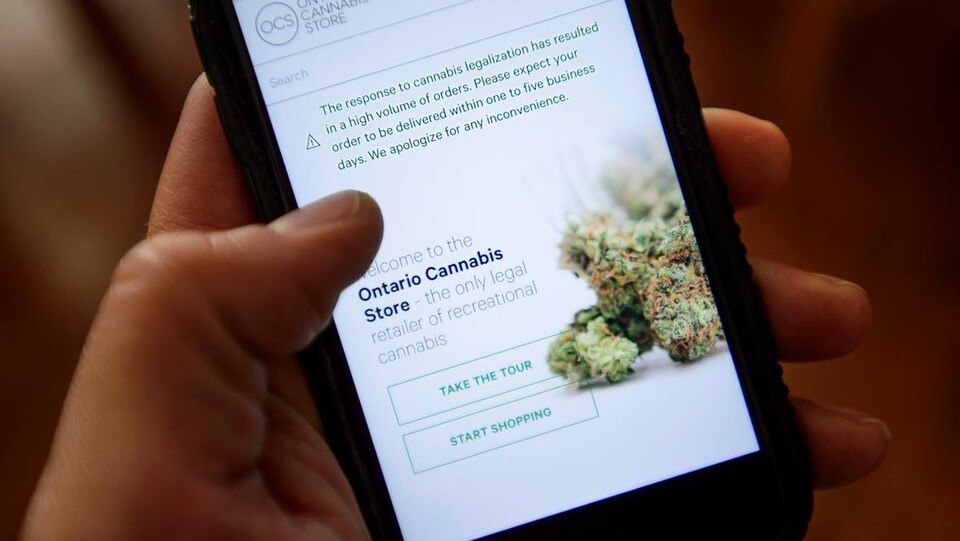 Photo d'une main qui tient un téléphone cellulaire où est affichée une image de cannabis.