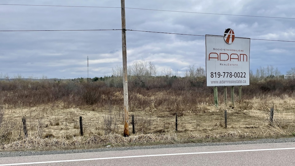 A vacant lot is for sale along the road.