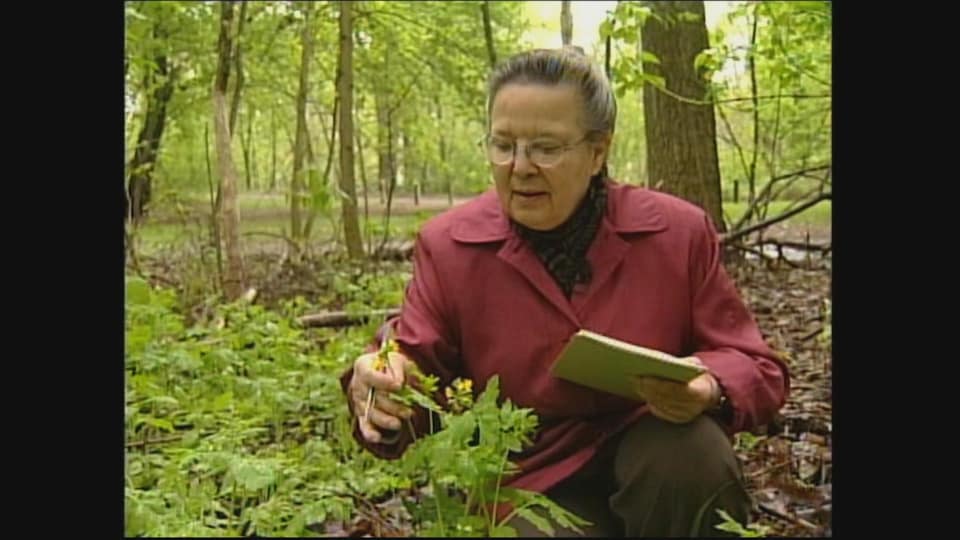 Estelle Lacoursière observe une plante dans la forêt en tenant un calepin à la main.