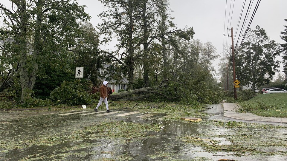 Un marcheur au milieu d’une rue remplie de branches d’arbre tombées en raison d’une tempête. 