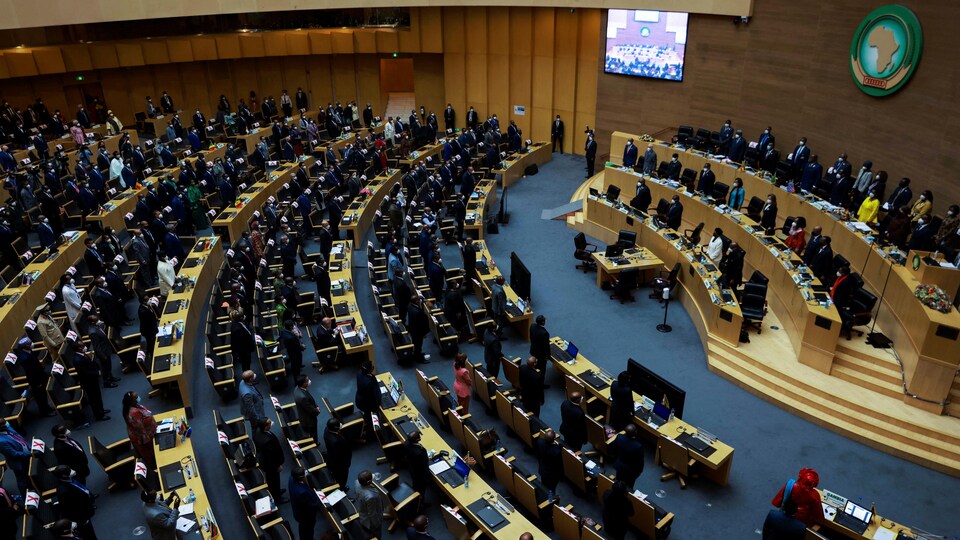 L'Assemblée de l'Union africaine.