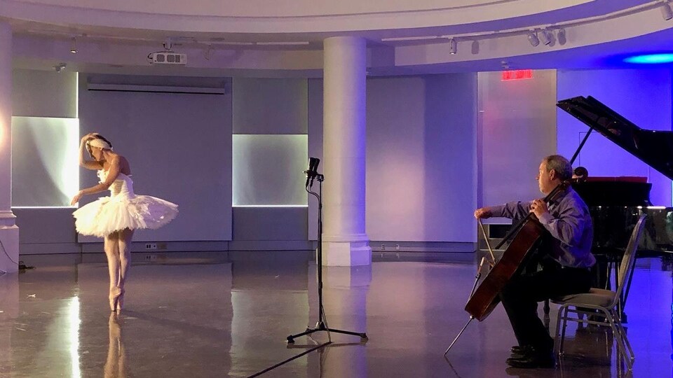 La danseuse, sur pointes, évolue sous la rotonde du Musée canadien de la nature.