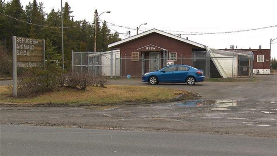 Les locaux actuels de la SPCA Côte-Nord