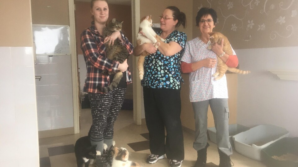 Isa Levesque, Marie Levesque et Linda Lanteigne, de la SPCA-Péninsule acadienne, en ont plein les bras.