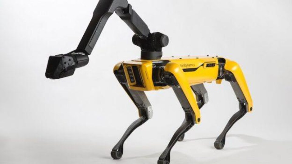 Un robot jaune semblable à un chien sur un fond blanc. 