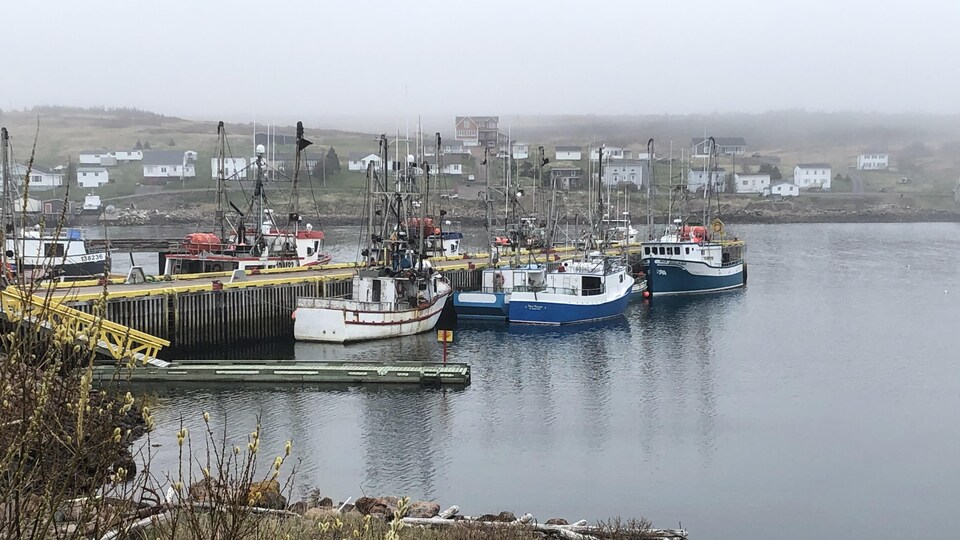 Des bateaux sur le bord d'un quai.