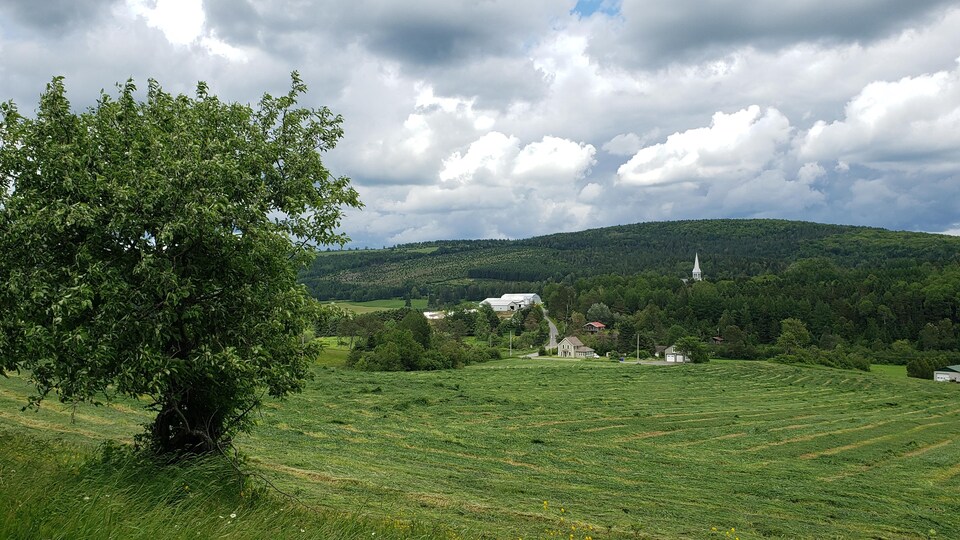 Danaël, seul enfant (ou presque) de SaintVenantdePaquette RadioCanada.ca