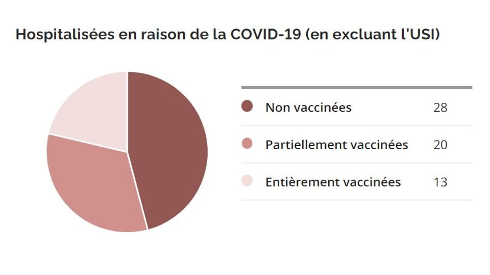 Un graphique qui détaille le statut vaccinal.