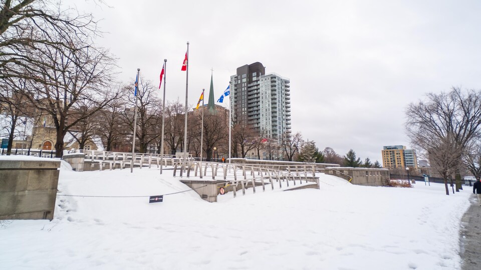 Des drapeaux de diverses provinces canadiennes dans un parc d'Ottawa en hiver. 