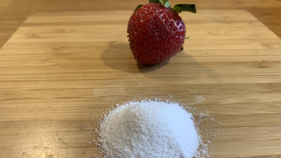 À titre d'exemple, environ 2,5 g de poudre de sucre de Stevia devant une fraise de 5 cm de large. (31 mai 2022)