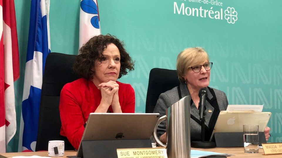 Mme Montgomery au conseil d'arrondissement.