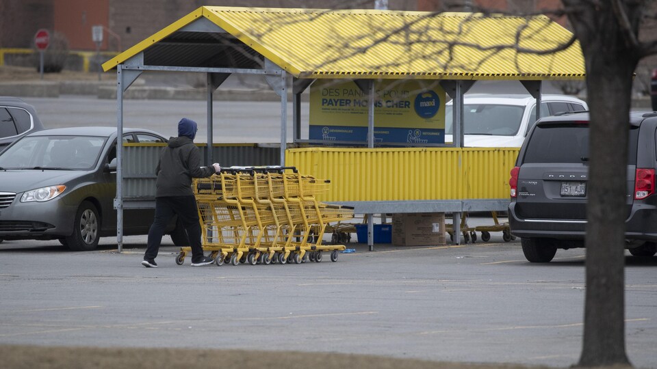 Un commis avec des chariots d’épicerie chez Maxi.