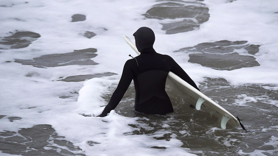 Une personne vêtue d'une combinaison isothermique s'avance dans les eaux froides, sa planche de surf sous le bras.