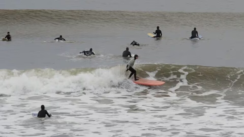 Une dizaine de surfeuses à la recherche d'une bonne vague.