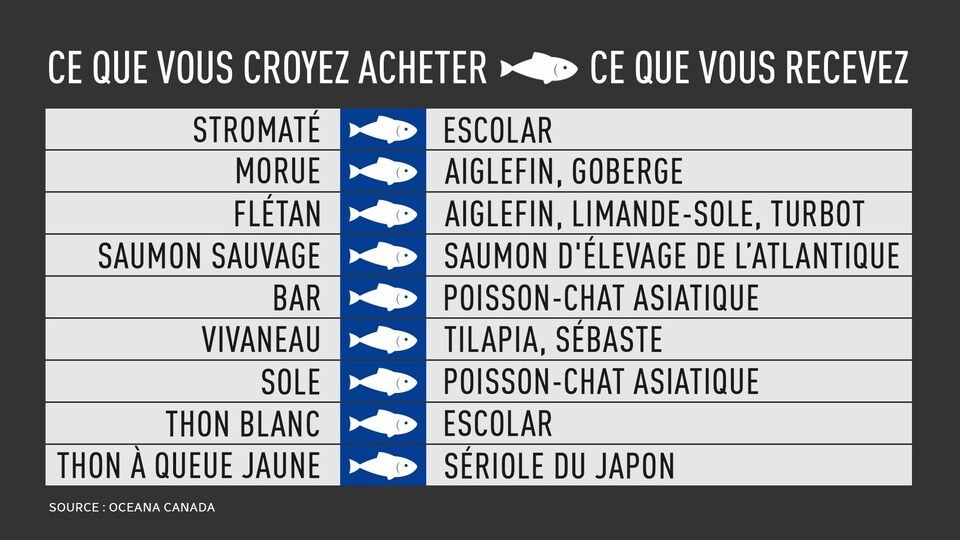 Un tableau présente des noms de poissons.