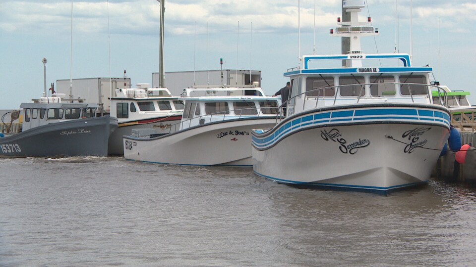 Des bateaux de homard amarrés au quai de Tabusintac.