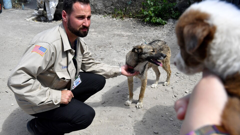 Lucas Hixson, cofondateur de Clean Futures Fund, caresse un chien errant à l'extérieur d'une station vétérinaire située à côté de la centrale de Tchernobyl.